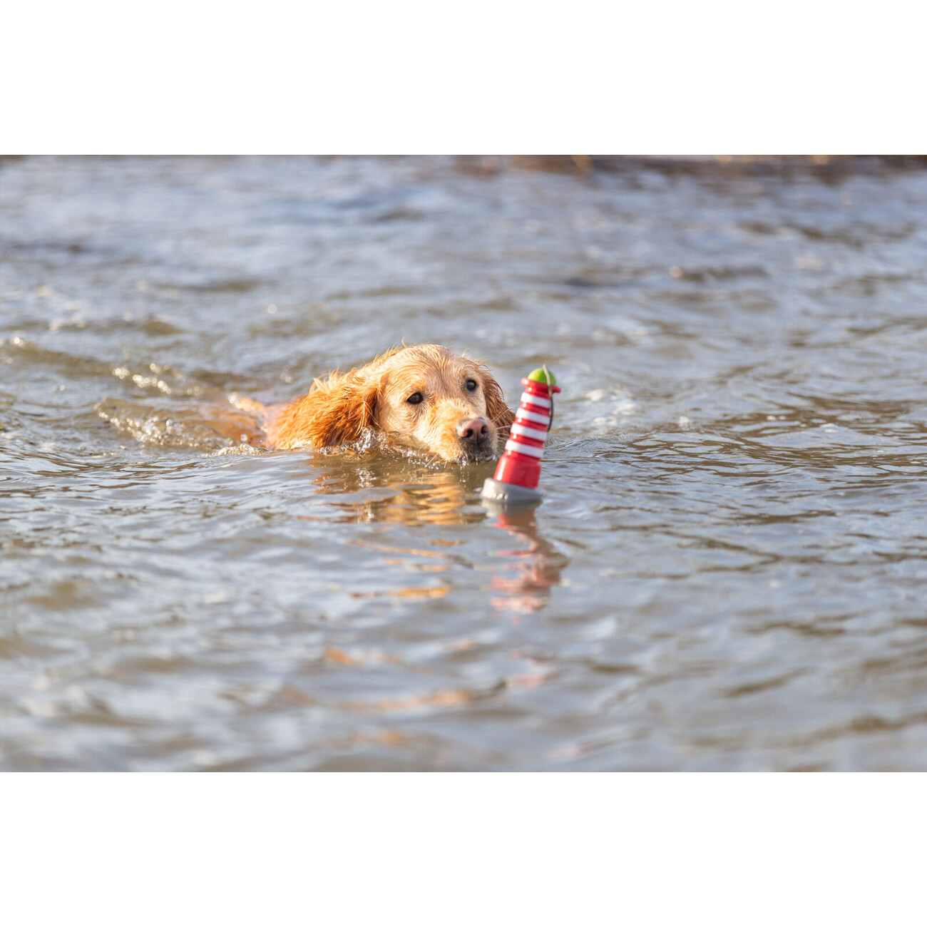 Aqua Toy Leuchtturm, Wasserspielzeug Hund Bild 7