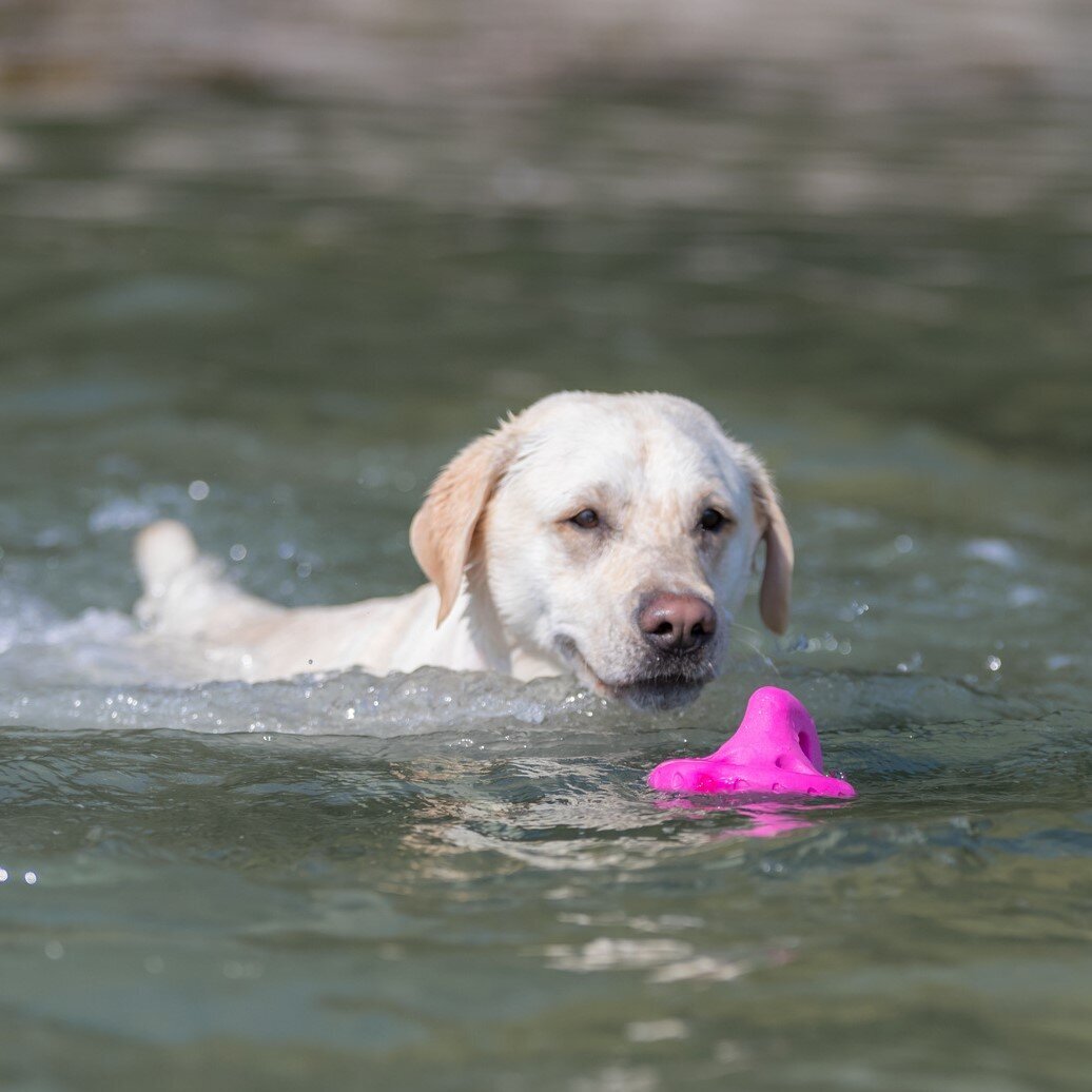 Aqua Toy Tumbler Bild 2