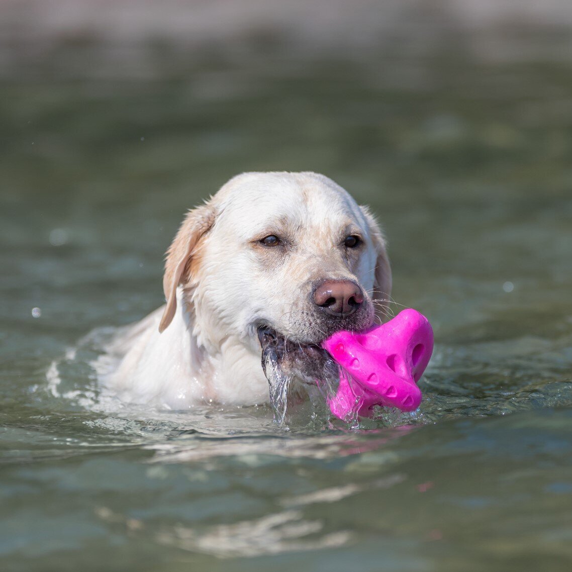 Aqua Toy Tumbler Bild 3