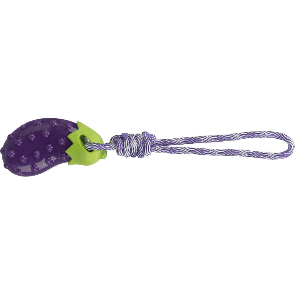 Aubergine am Seil Bild 1