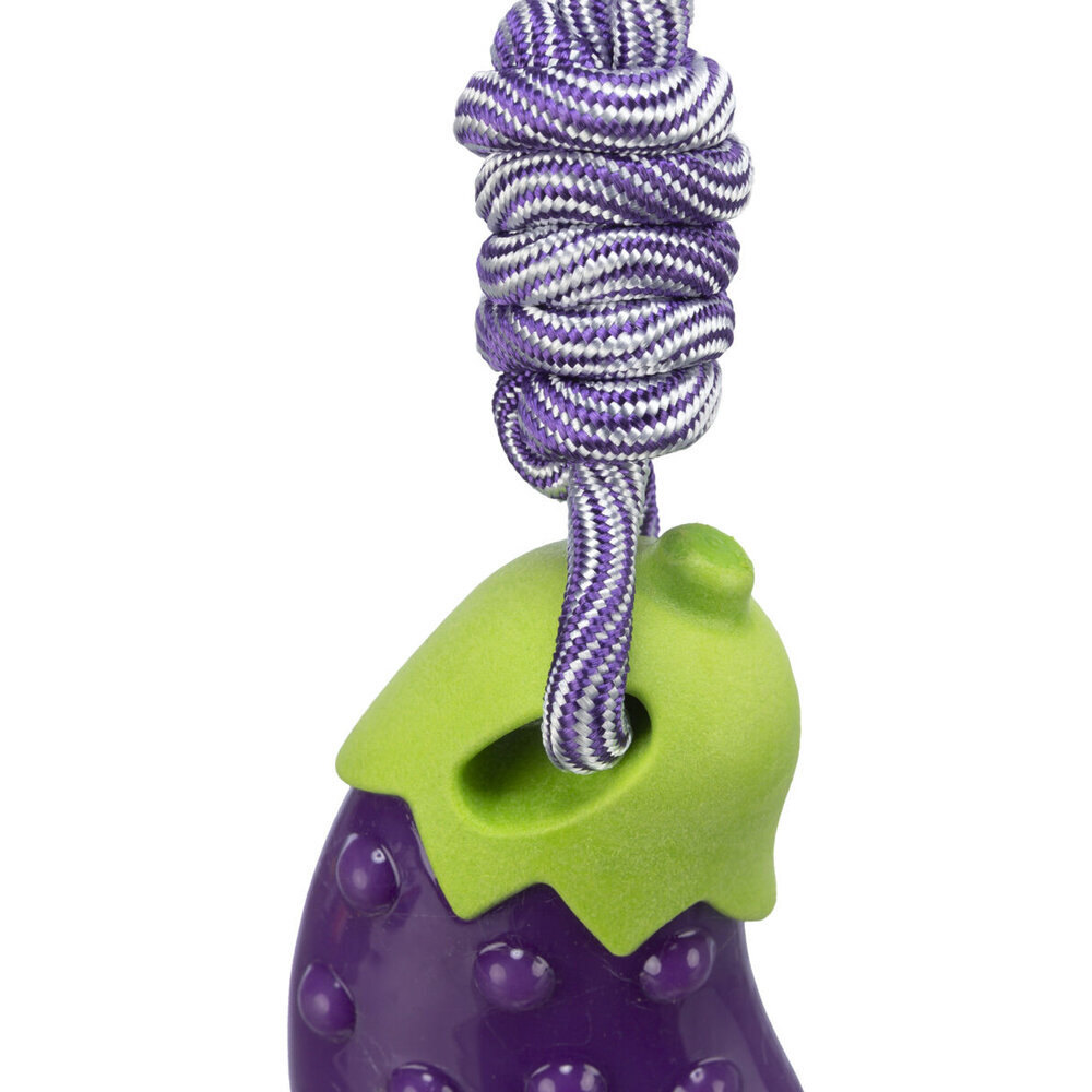 Aubergine am Seil Bild 2