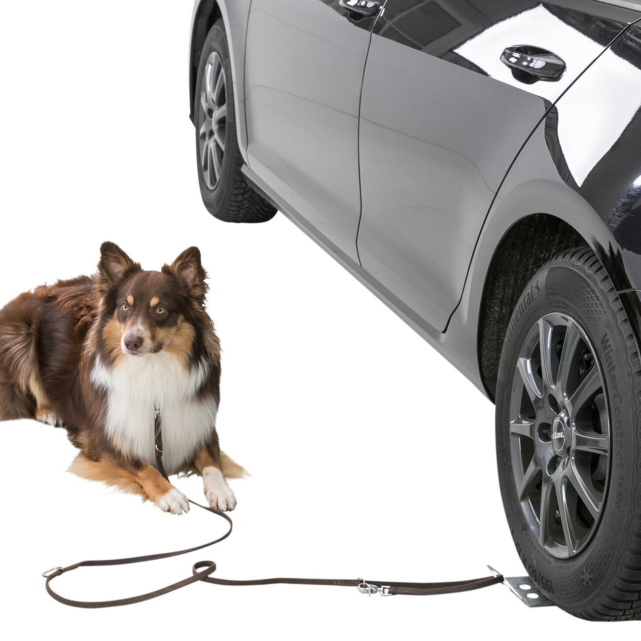 Auffahrplatte zum Anleinen Bild 2