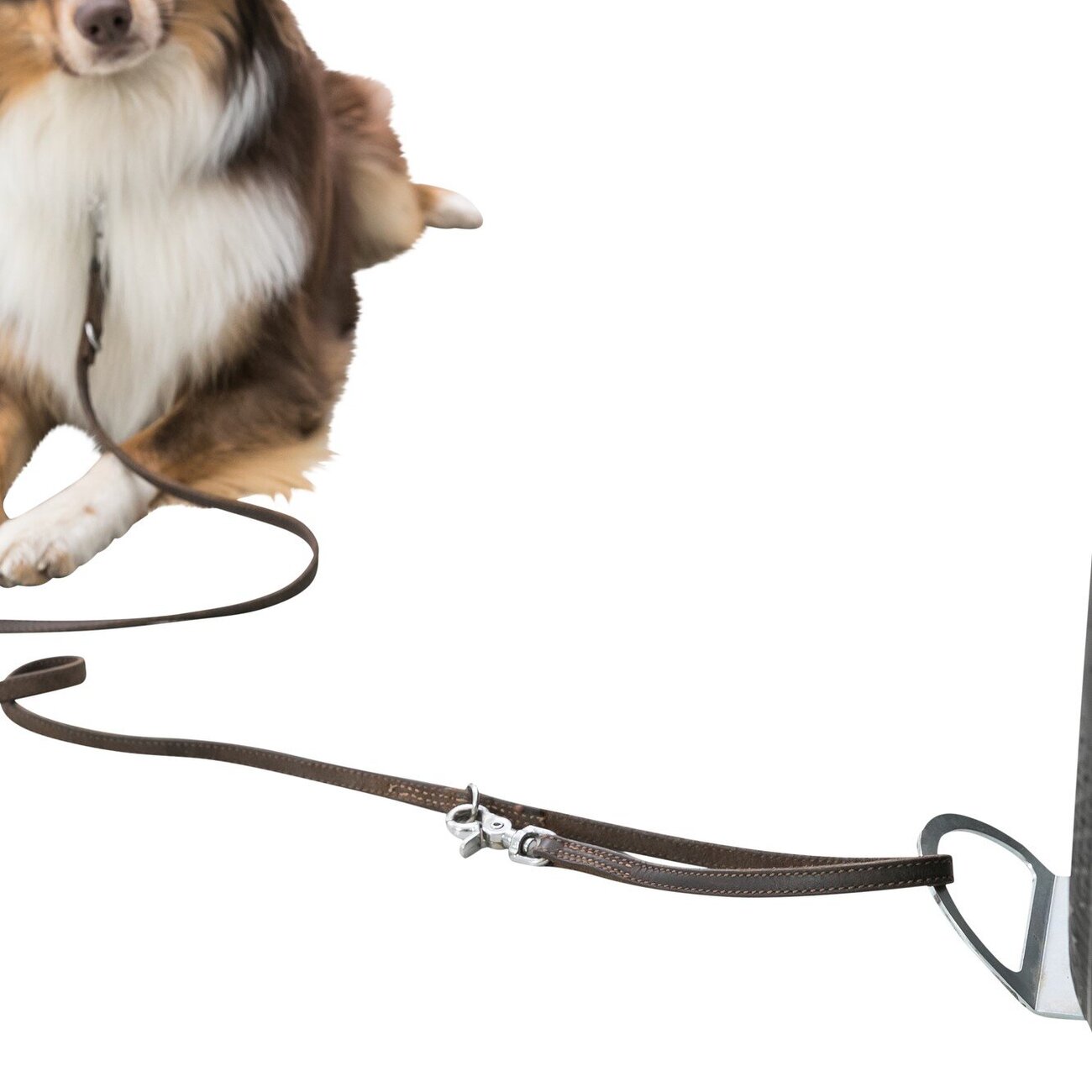 Auffahrplatte zum Anleinen Bild 6