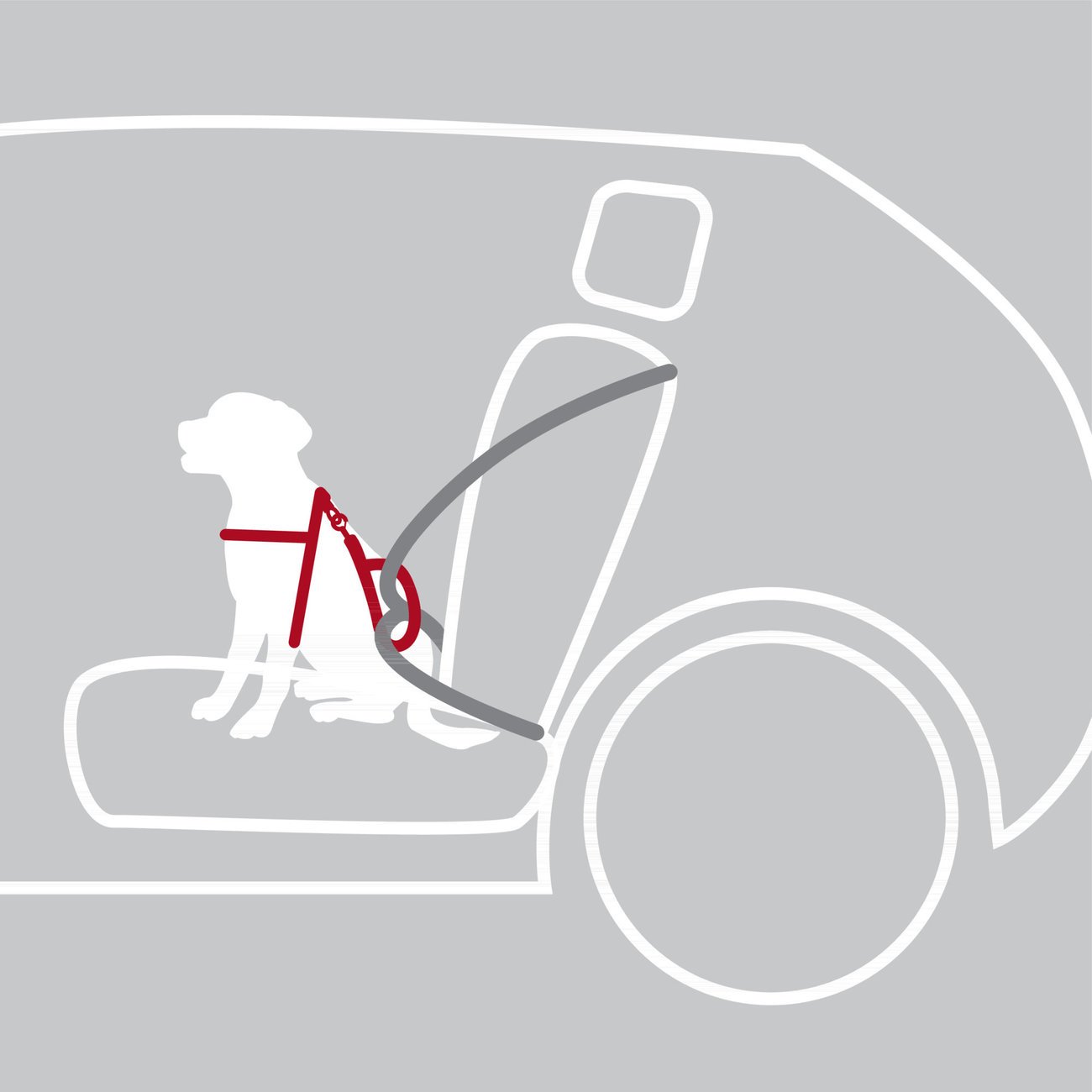 Auto Hundegeschirr Dog Protect Bild 5