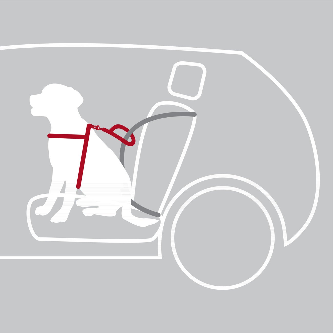 Auto Hundegeschirr Dog Protect Bild 6
