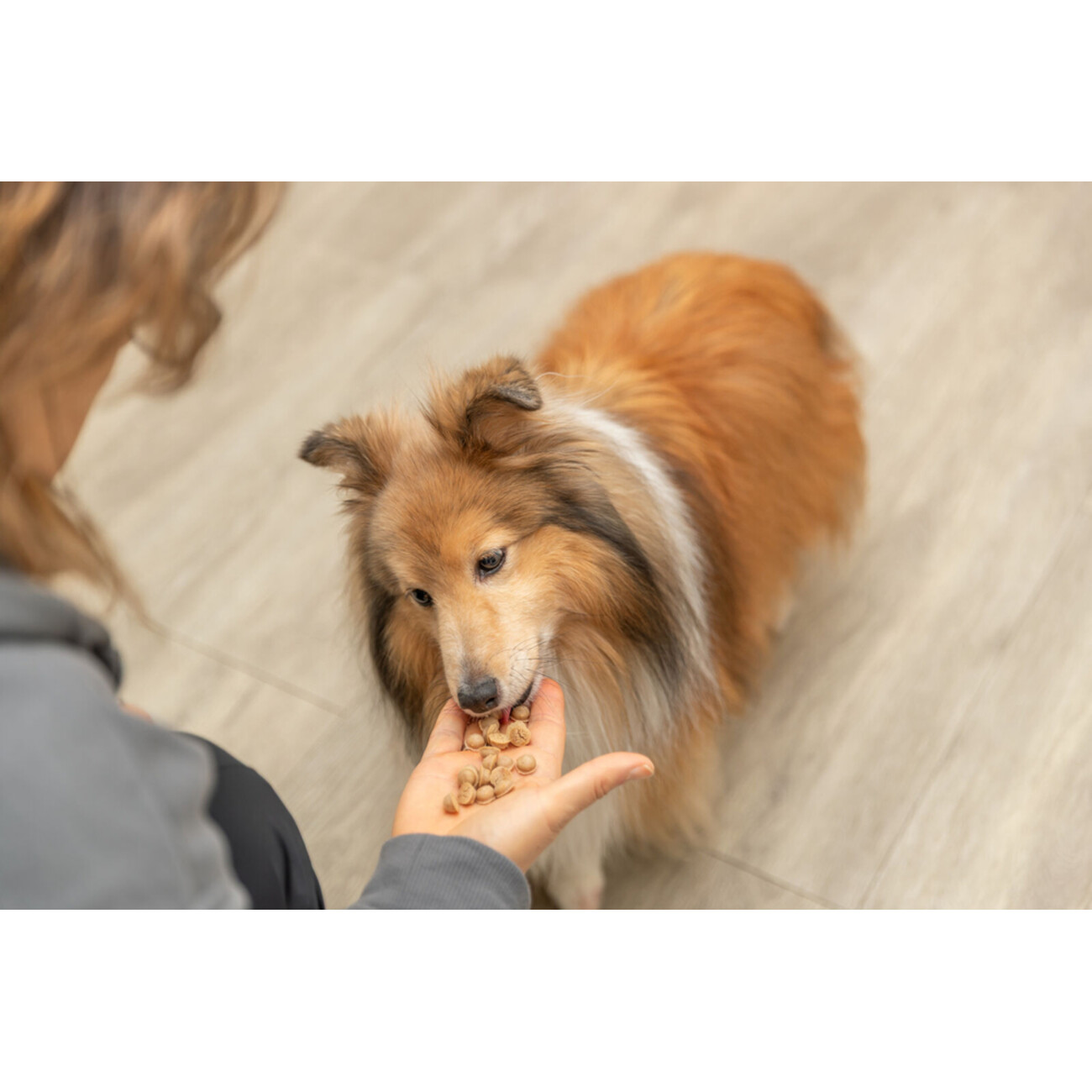 TRIXIE Backmatte für hausgemachte Hunde- & Katzensnacks – Backen & Schlecken Bild 6