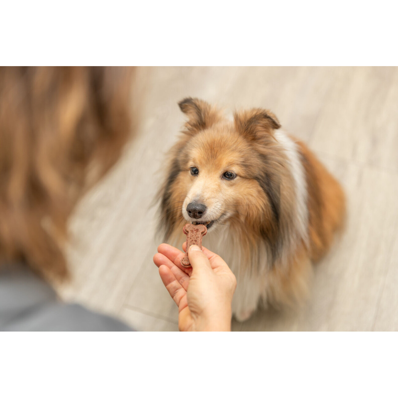 TRIXIE Backmatte Silikon – Dein Helfer für gesunde Hunde-Snacks & Schleckspaß! Bild 7