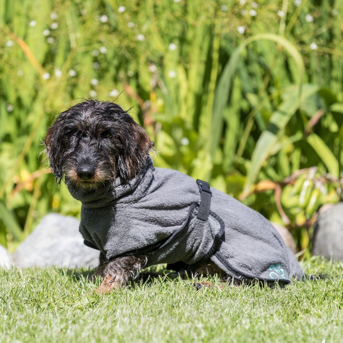Bademantel für Hunde Bild 3