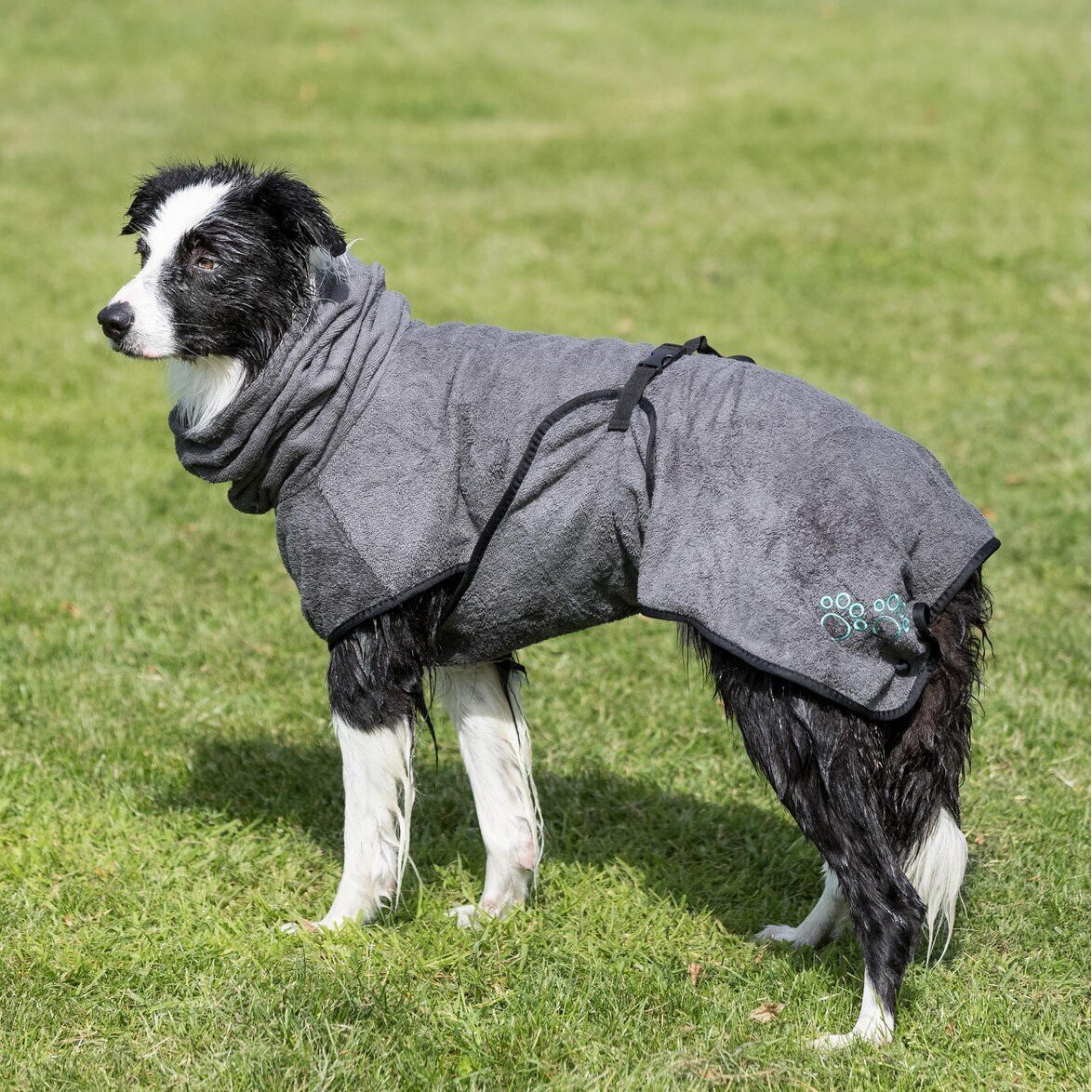 Bademantel für Hunde Bild 4