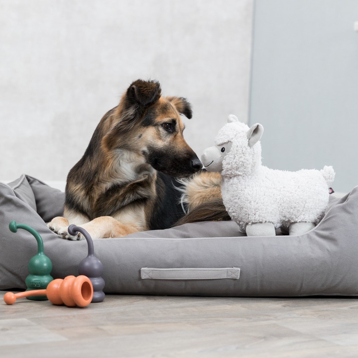 Be Eco Alpaka Eyleen Bild 2