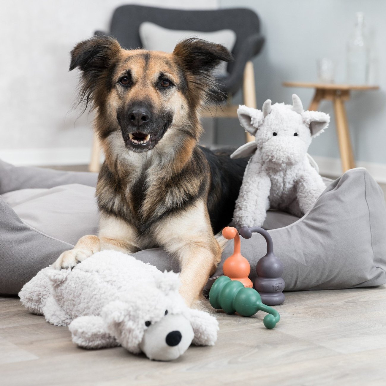 Be Eco Bär Elroy Bild 2