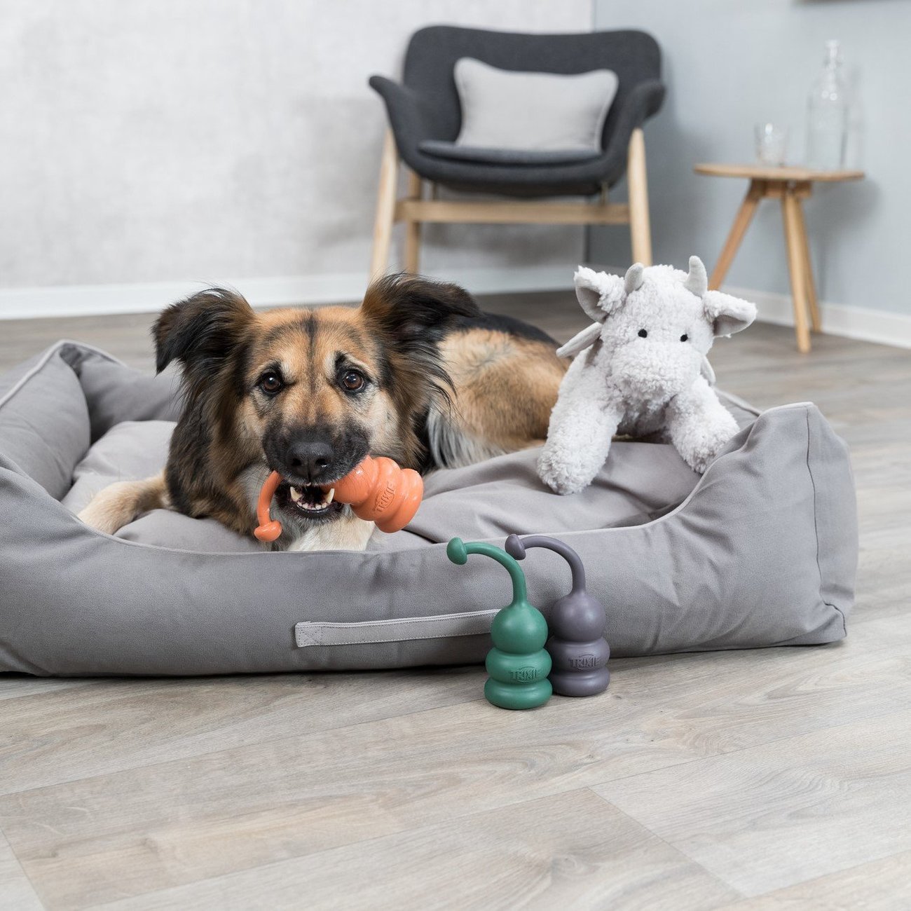 Be Eco Drache Elwin Bild 2