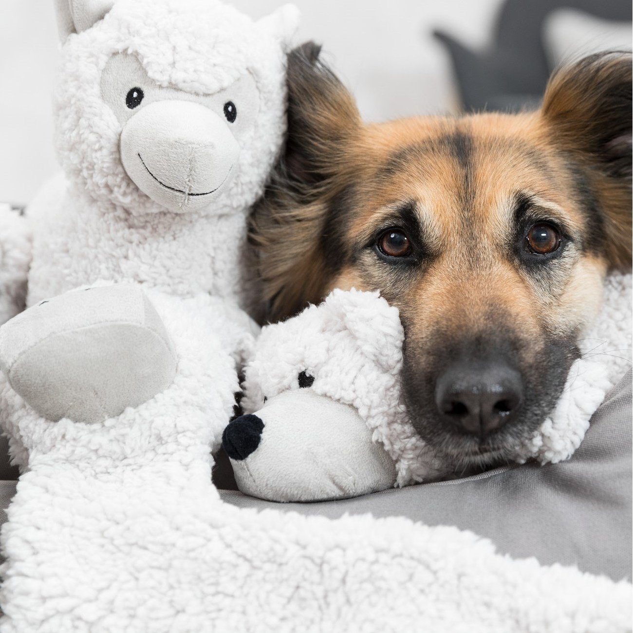 Be Eco Esel Elenor Bild 3