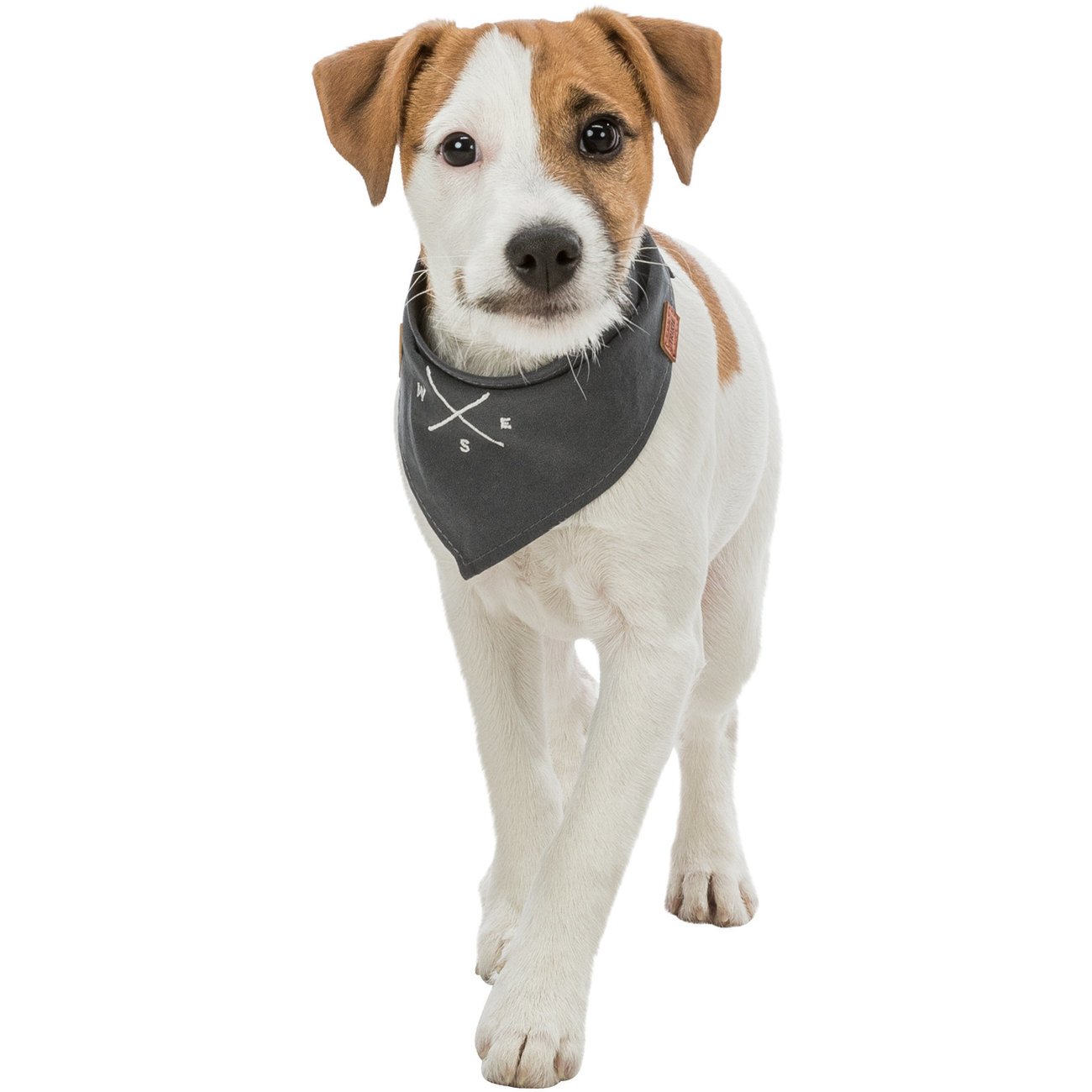 Be Nordic Hunde Halstuch Bild 10