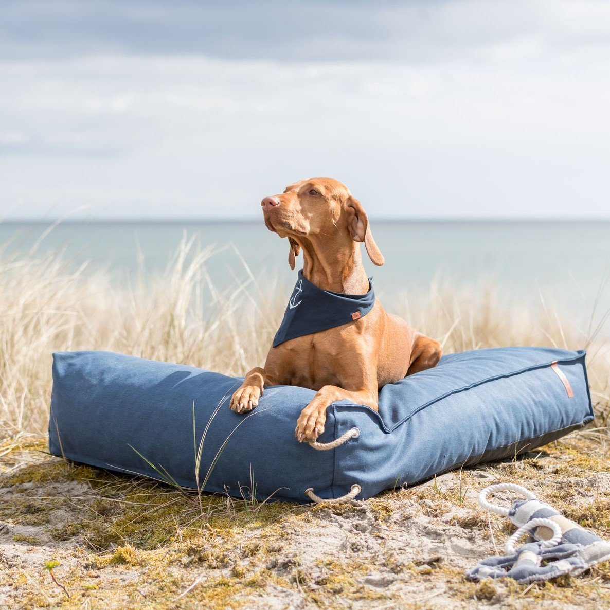 Be Nordic Hunde Halstuch Bild 4