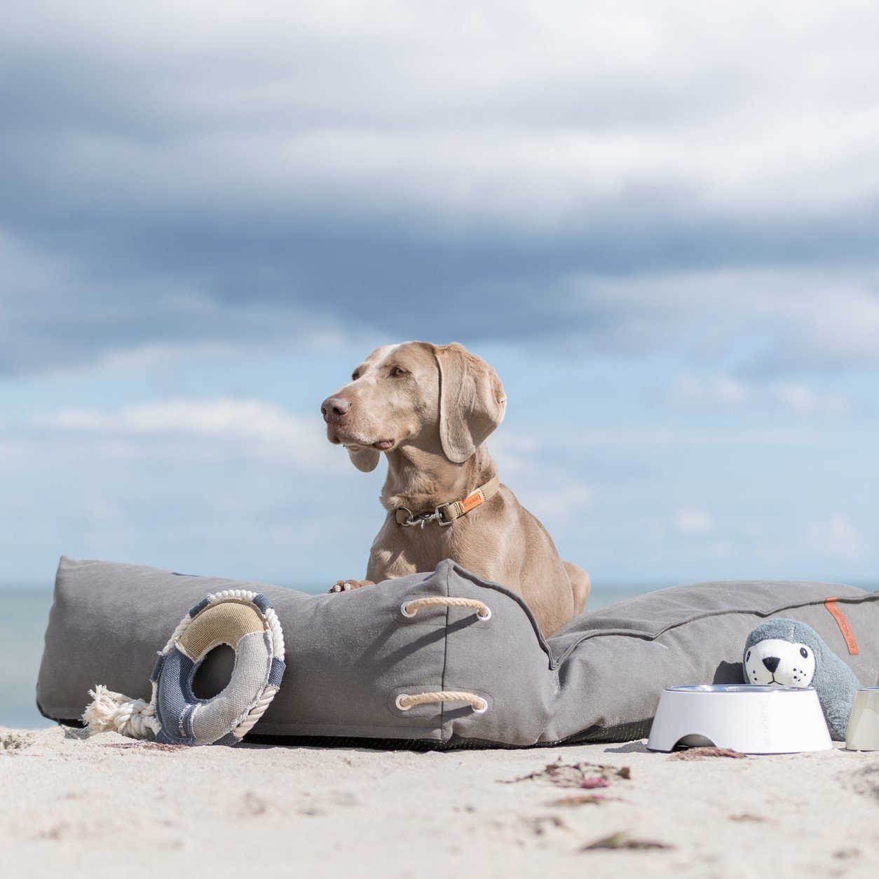 Be Nordic Hundekissen Föhr eckig Bild 21