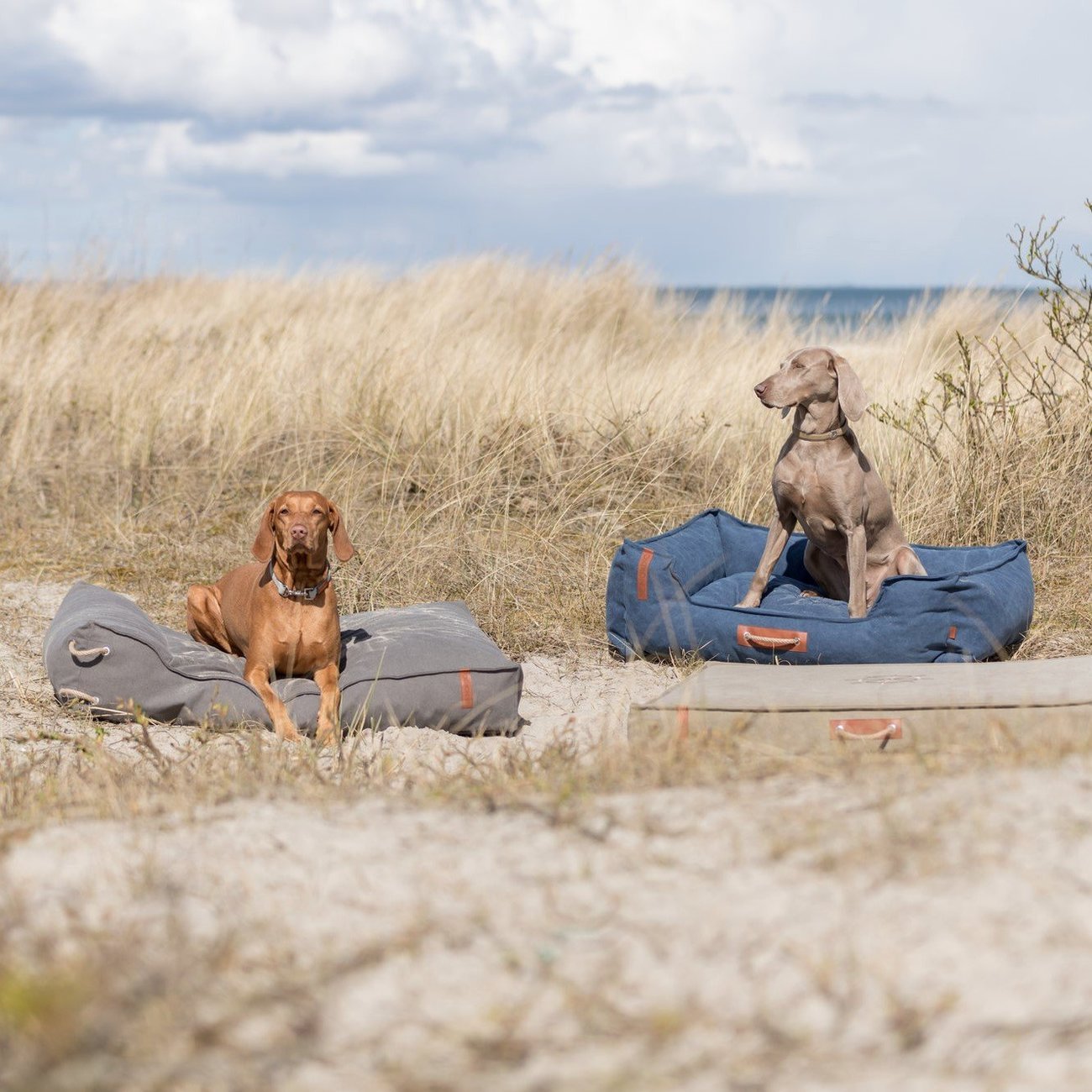 Be Nordic Hundekissen Föhr eckig Bild 2