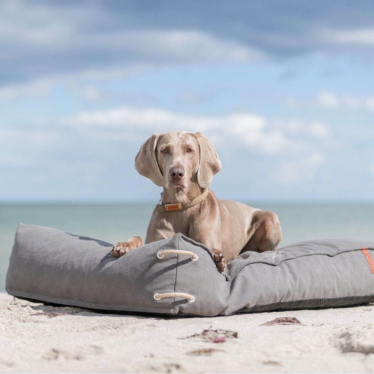 Be Nordic Hundekissen Föhr eckig Bild 4