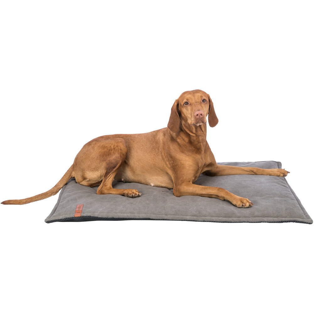 BE NORDIC Liegematte Föhr für Hunde Bild 2
