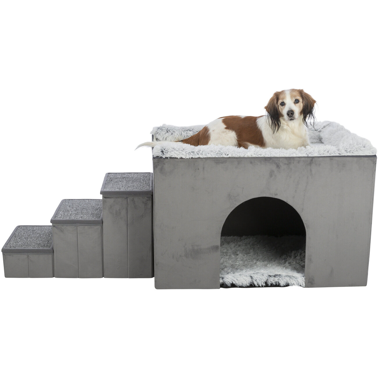 Hunde Beistellbett Harvey mit Treppe und Höhle Bild 15