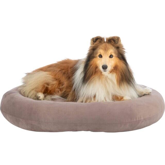 Hundebett Talia, oval Bild 2