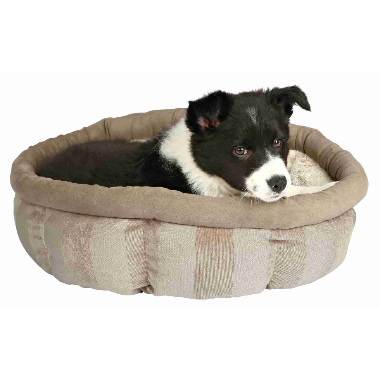 Bettchen Leona Bild 2