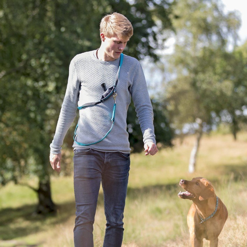 Beutelspender für Hundeleine Bild 3