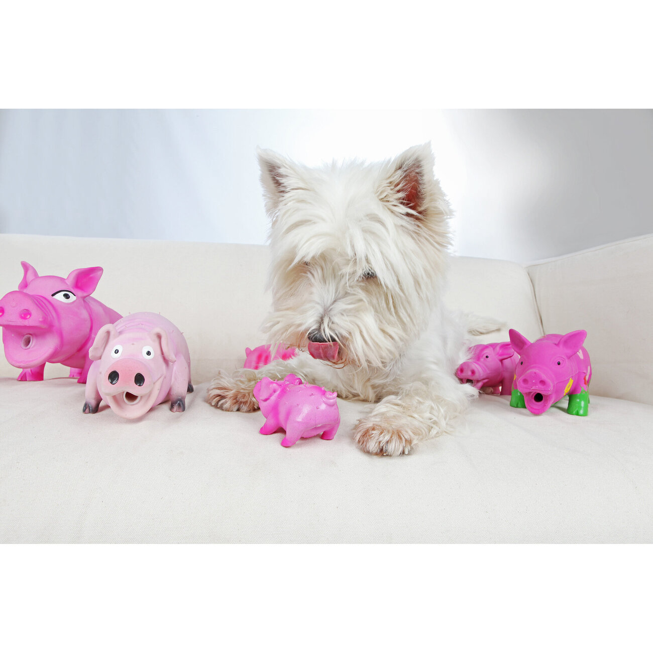 Borstenschwein für Hunde Original Tierstimme Bild 5