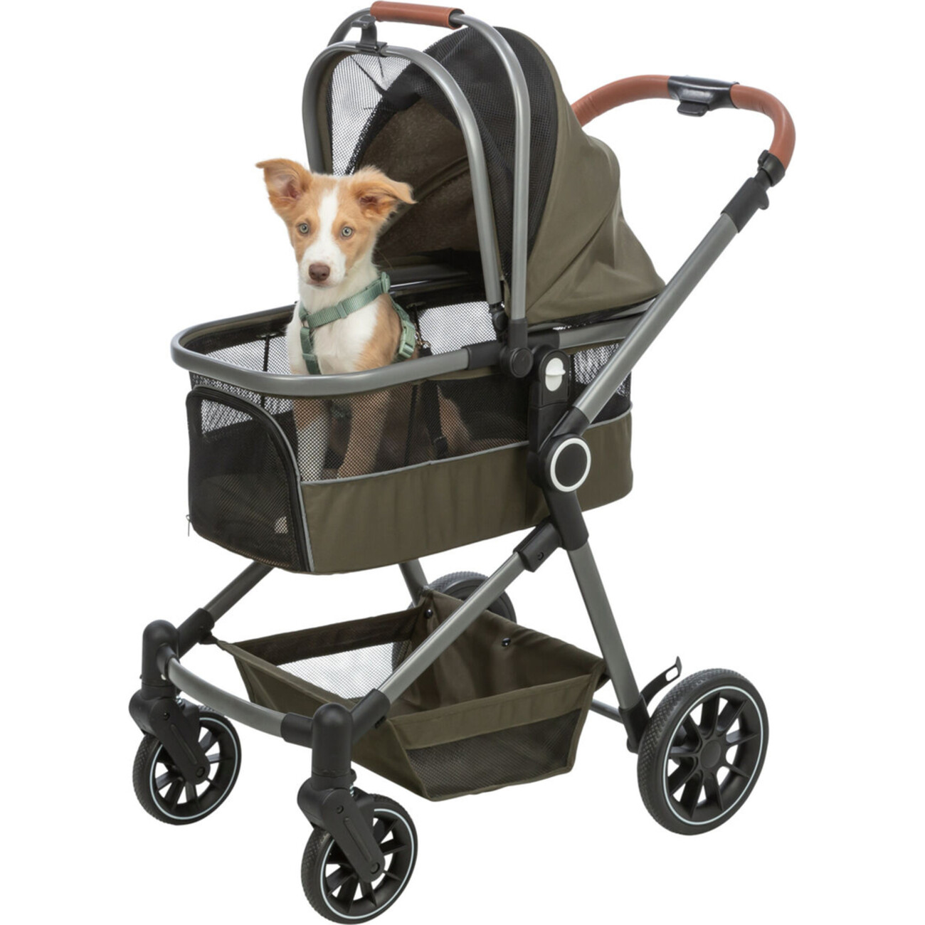 TRIXIE Buggy für Hunde & Katzen – Komfortabler und sicherer Tierwagen Bild 1