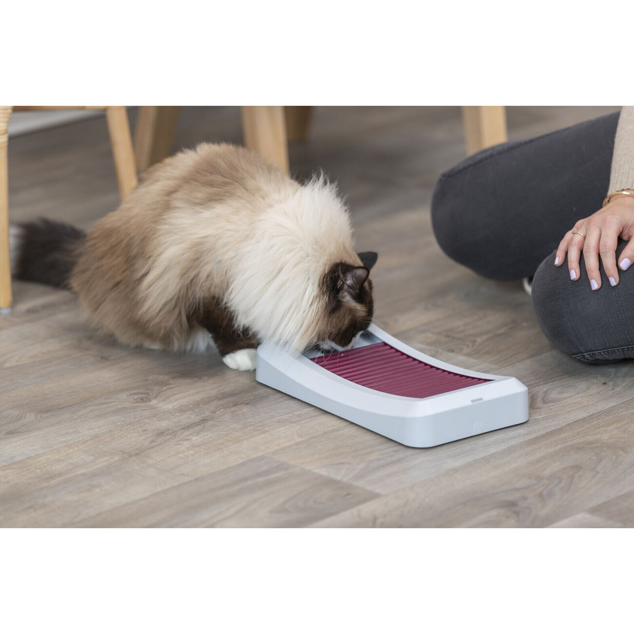 Cat Activity Rod Board Katzenstrategiespiel Bild 2