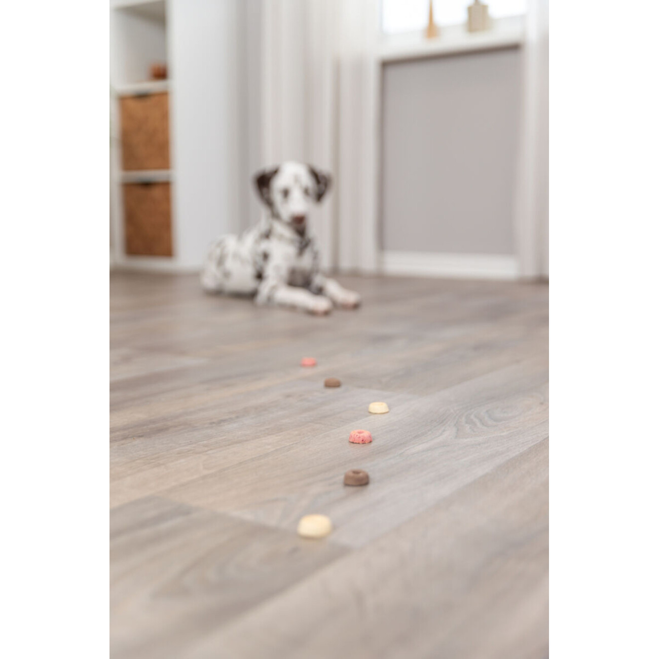 Cookie Snack Loops Bild 4