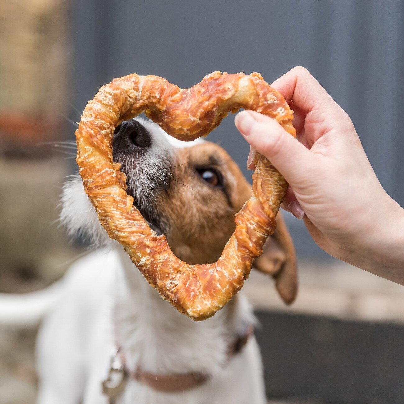 Denta Fun Chicken Heart Hundesnack Bild 2
