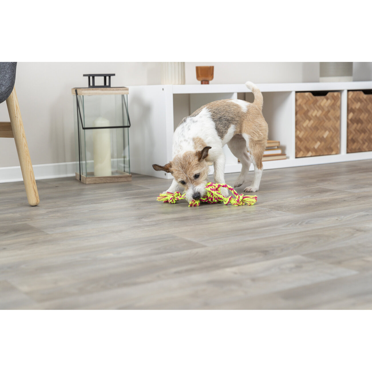 Denta Fun Tau Ball mit Seilen Bild 2