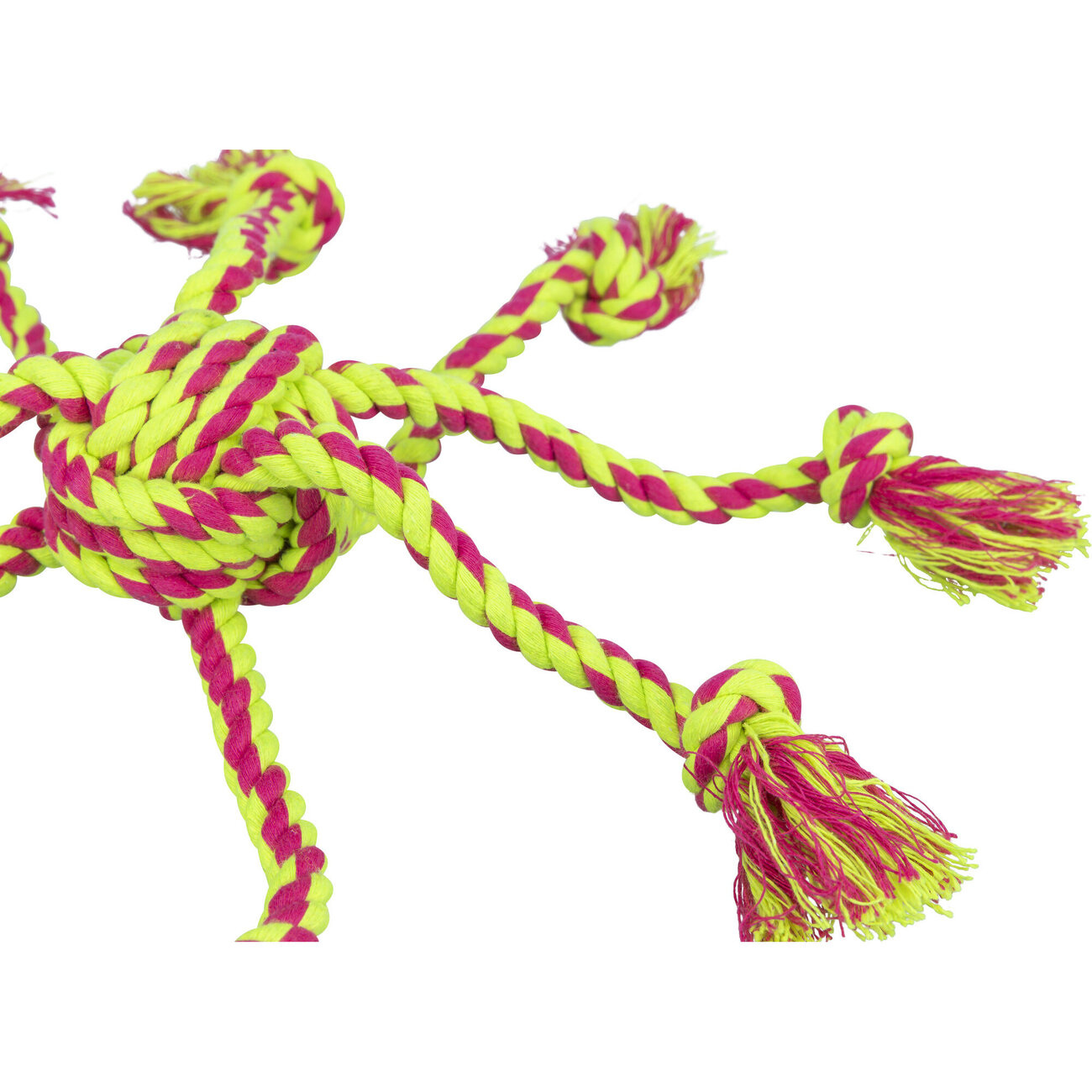 Denta Fun Tau Ball mit Seilen Bild 3