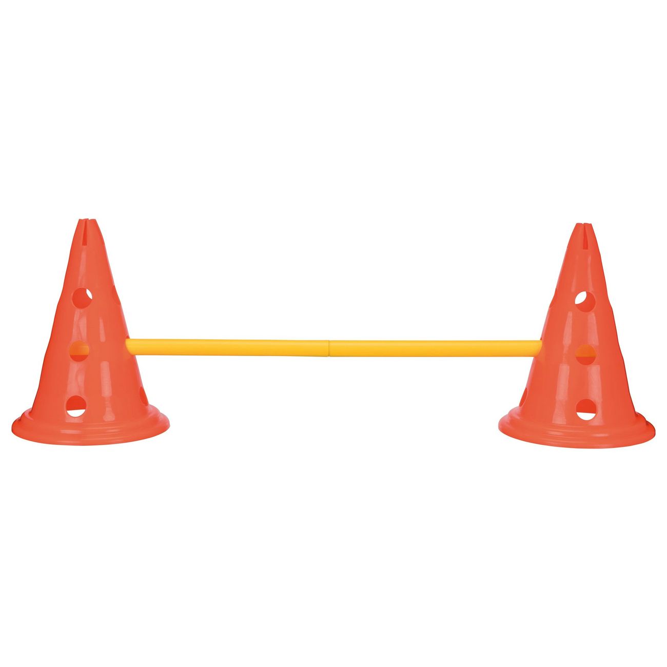 Hindernis Trainingsset mit Pylonen für Hunde Bild 5