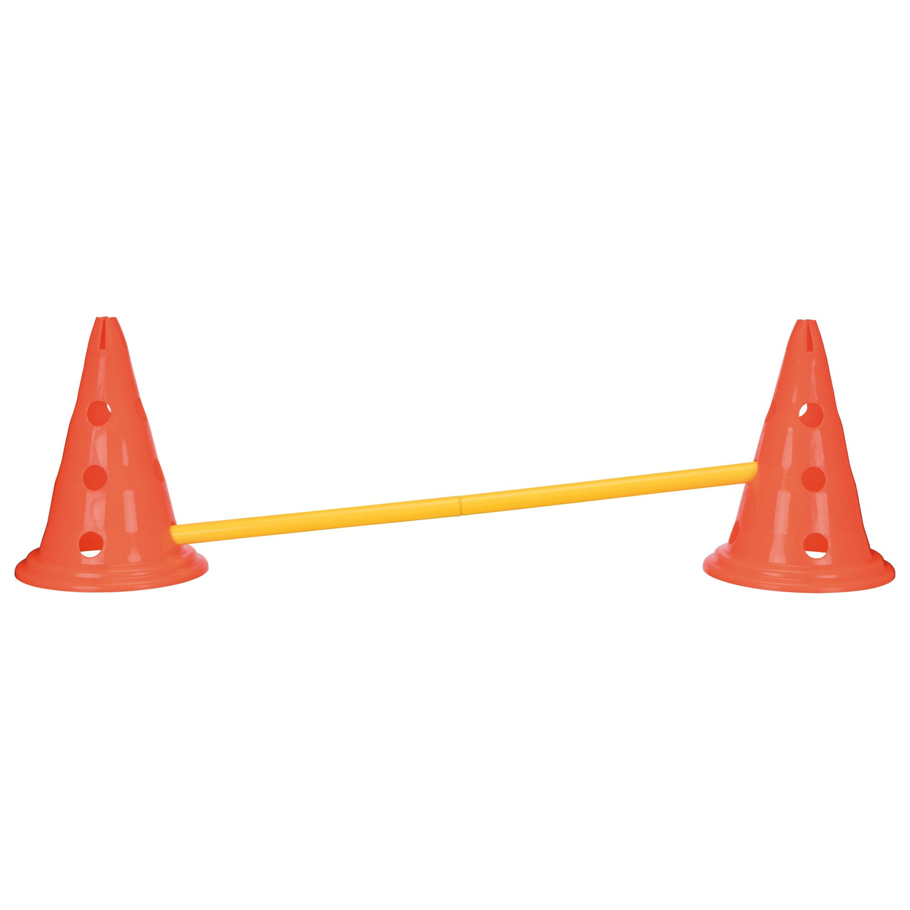 Hindernis Trainingsset mit Pylonen für Hunde Bild 9