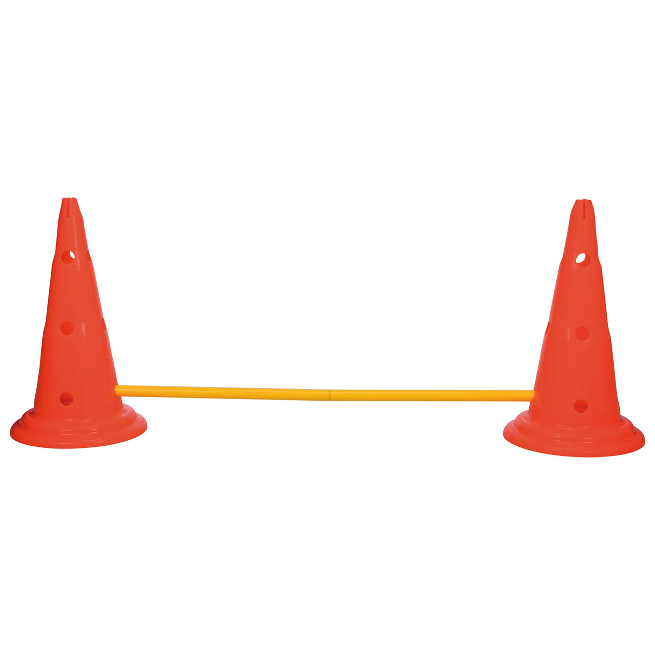 Hindernis Trainingsset mit Pylonen für Hunde Bild 10