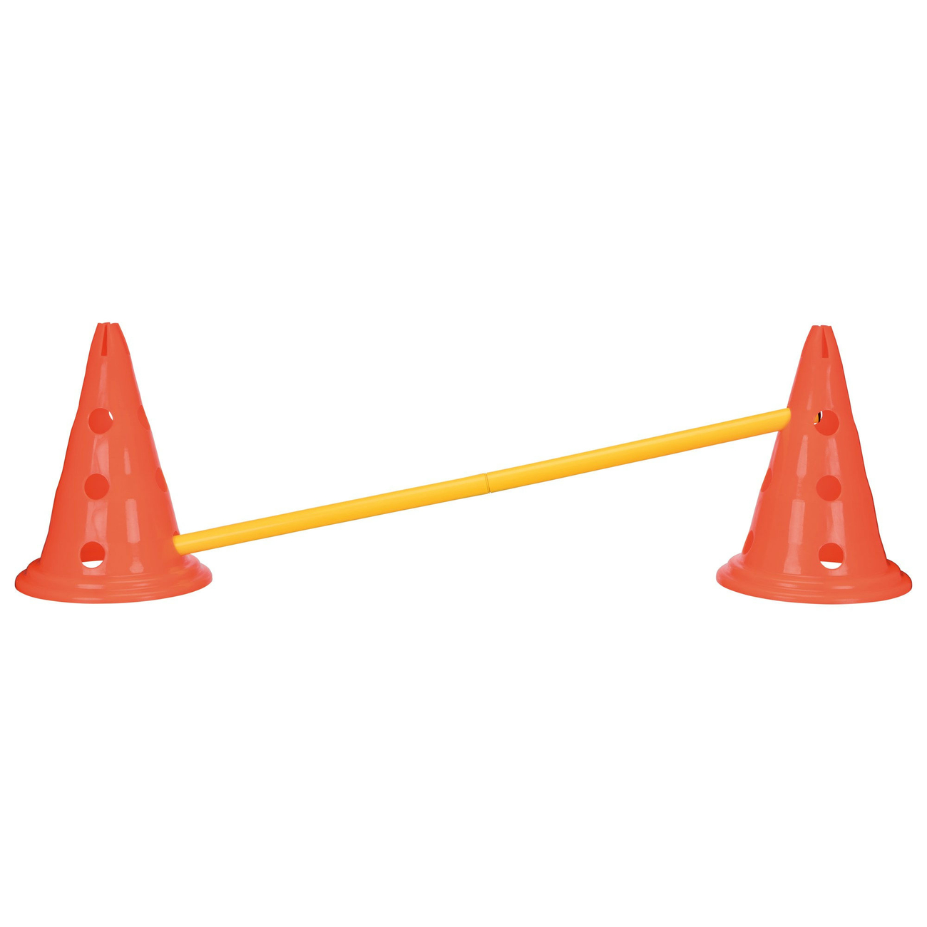 Hindernis Trainingsset mit Pylonen für Hunde Bild 6