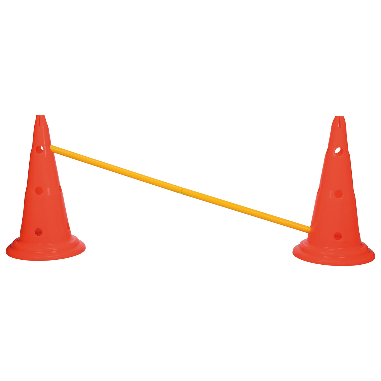 Hindernis Trainingsset mit Pylonen für Hunde Bild 13