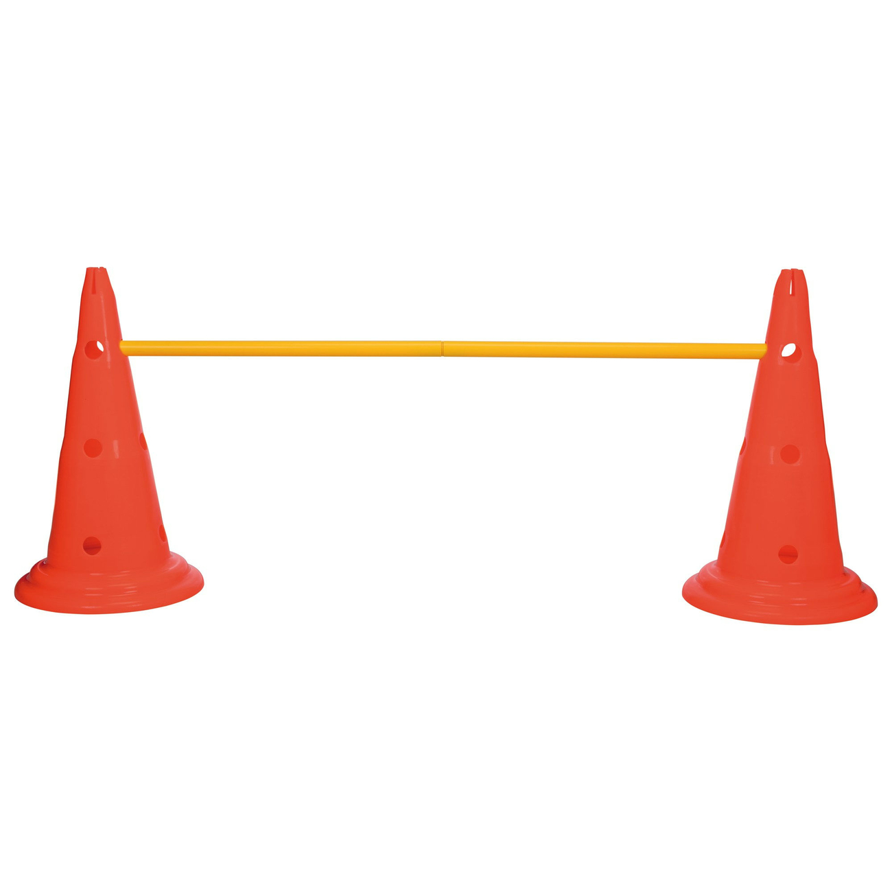 Hindernis Trainingsset mit Pylonen für Hunde Bild 14