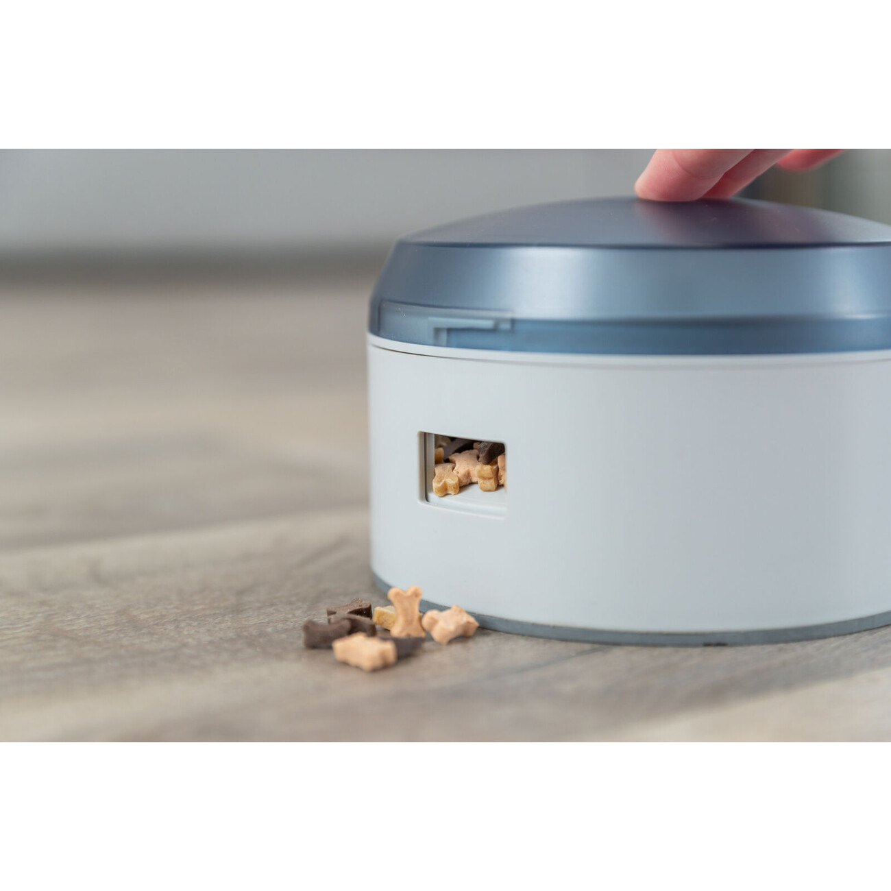 Dog Activity Buzzer für Hunde Bild 5