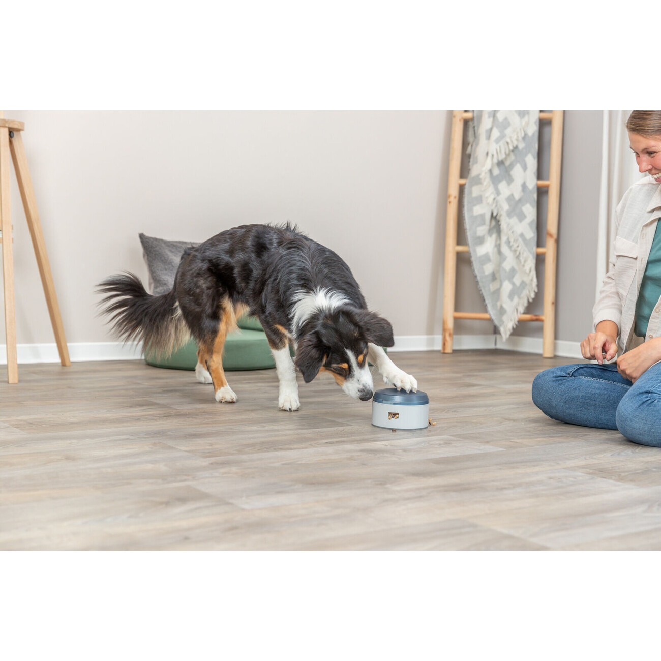 Dog Activity Buzzer für Hunde Bild 2