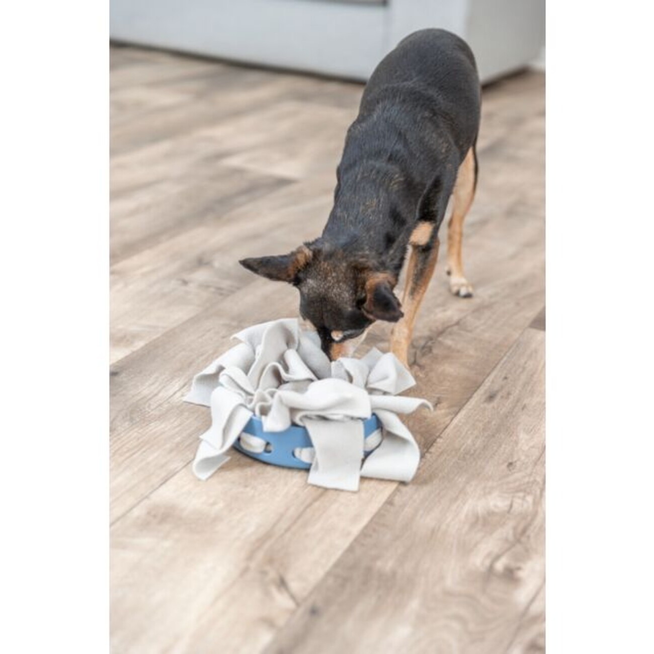 Dog Activity Hide'n'Sniff Bowl, Schnüffelnapf für Hunde Bild 5