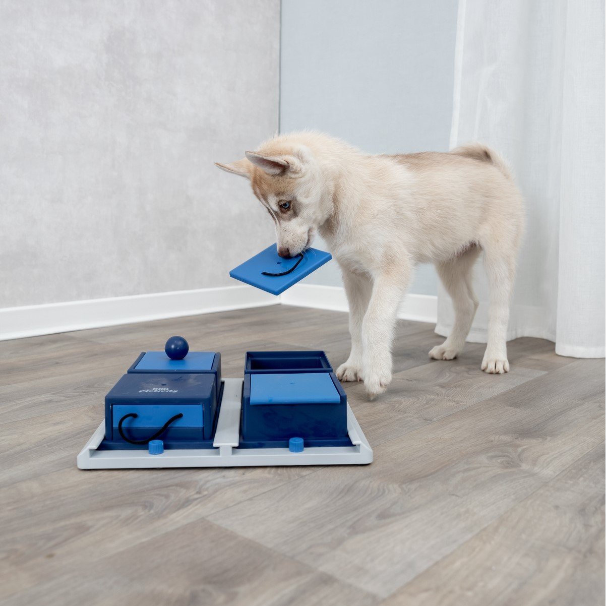 Dog Activity Strategiespiel Poker Box 1 für Hunde Bild 2