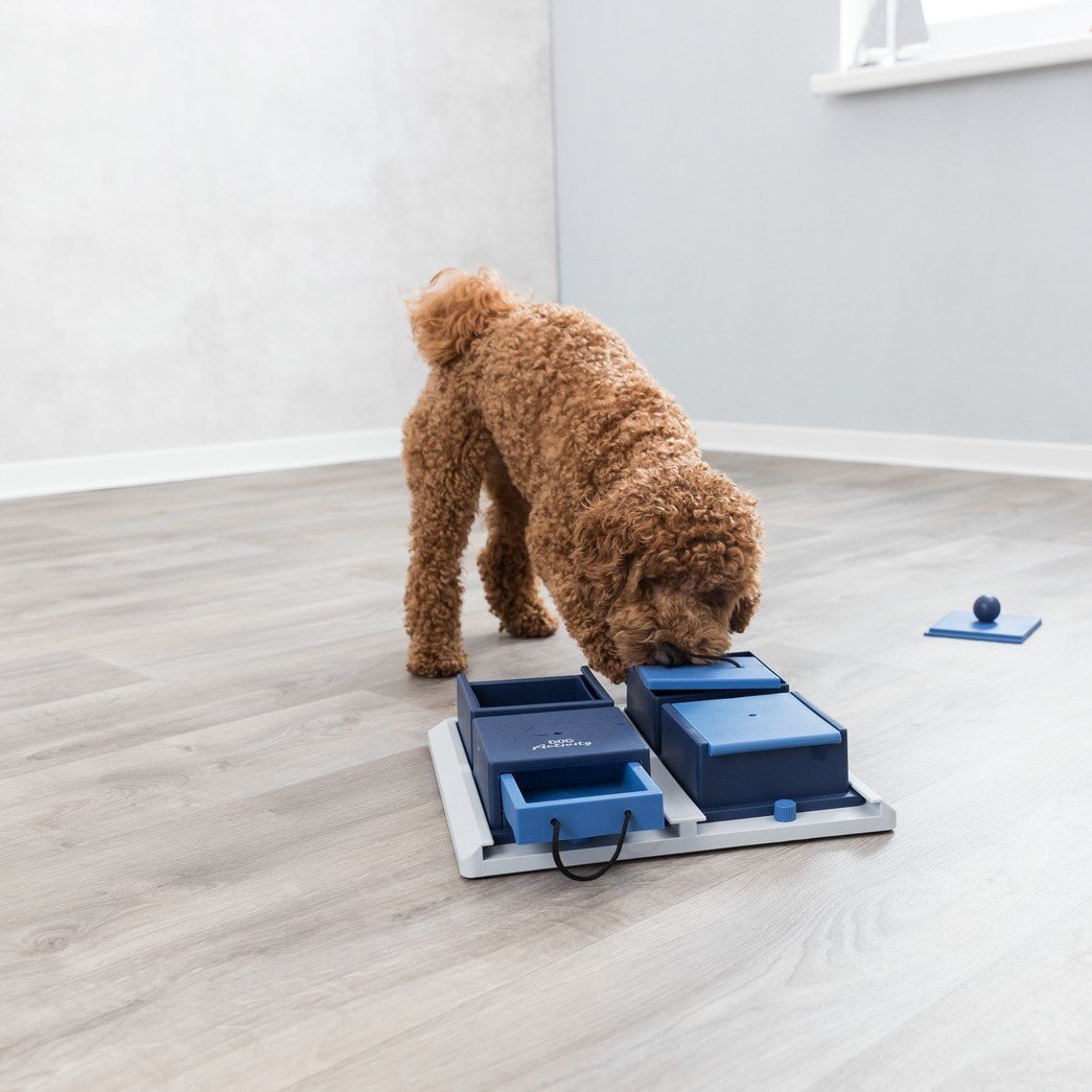 Dog Activity Strategiespiel Poker Box 1 für Hunde Bild 6