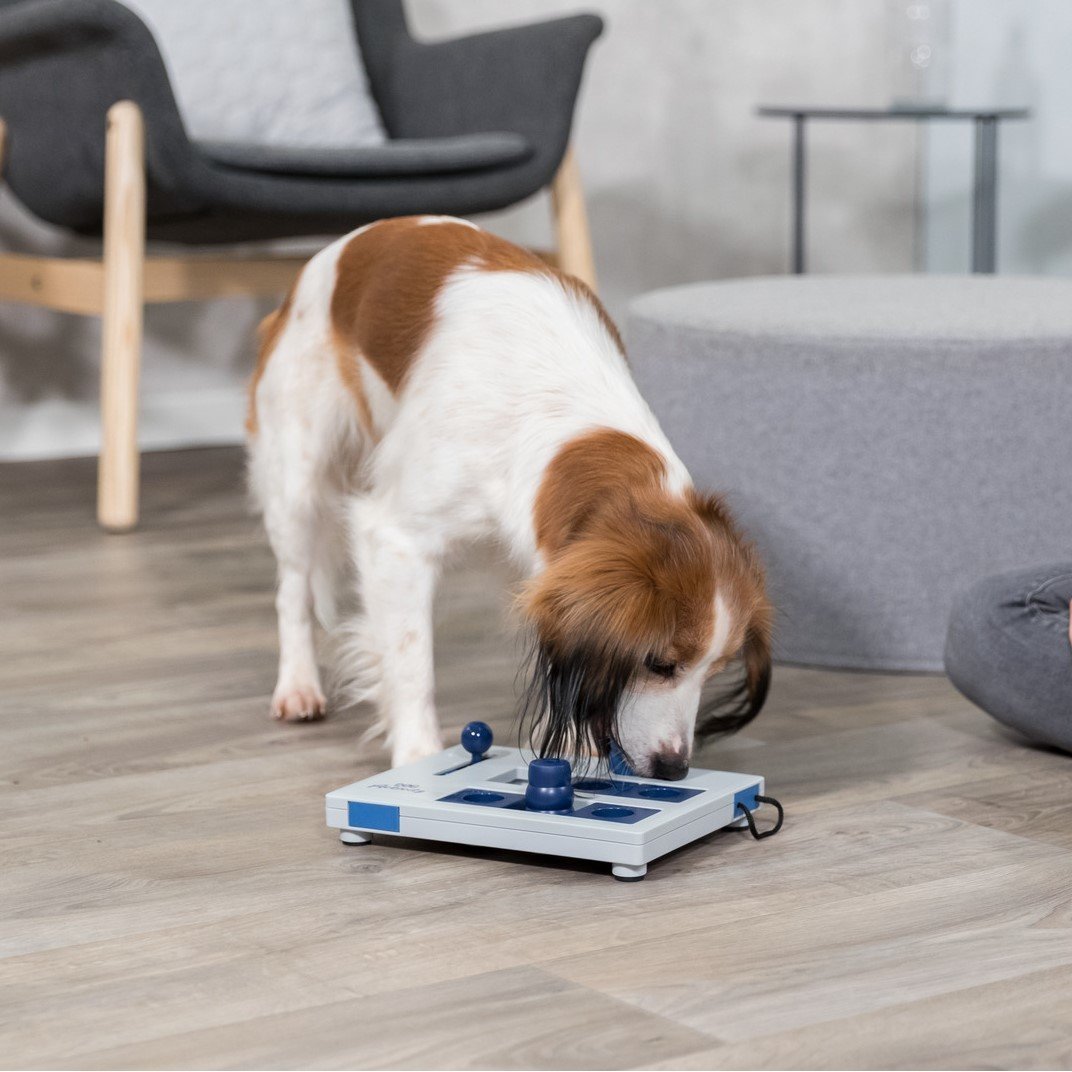 Dog Activity Strategiespiel Mini Mover für Hunde Bild 2