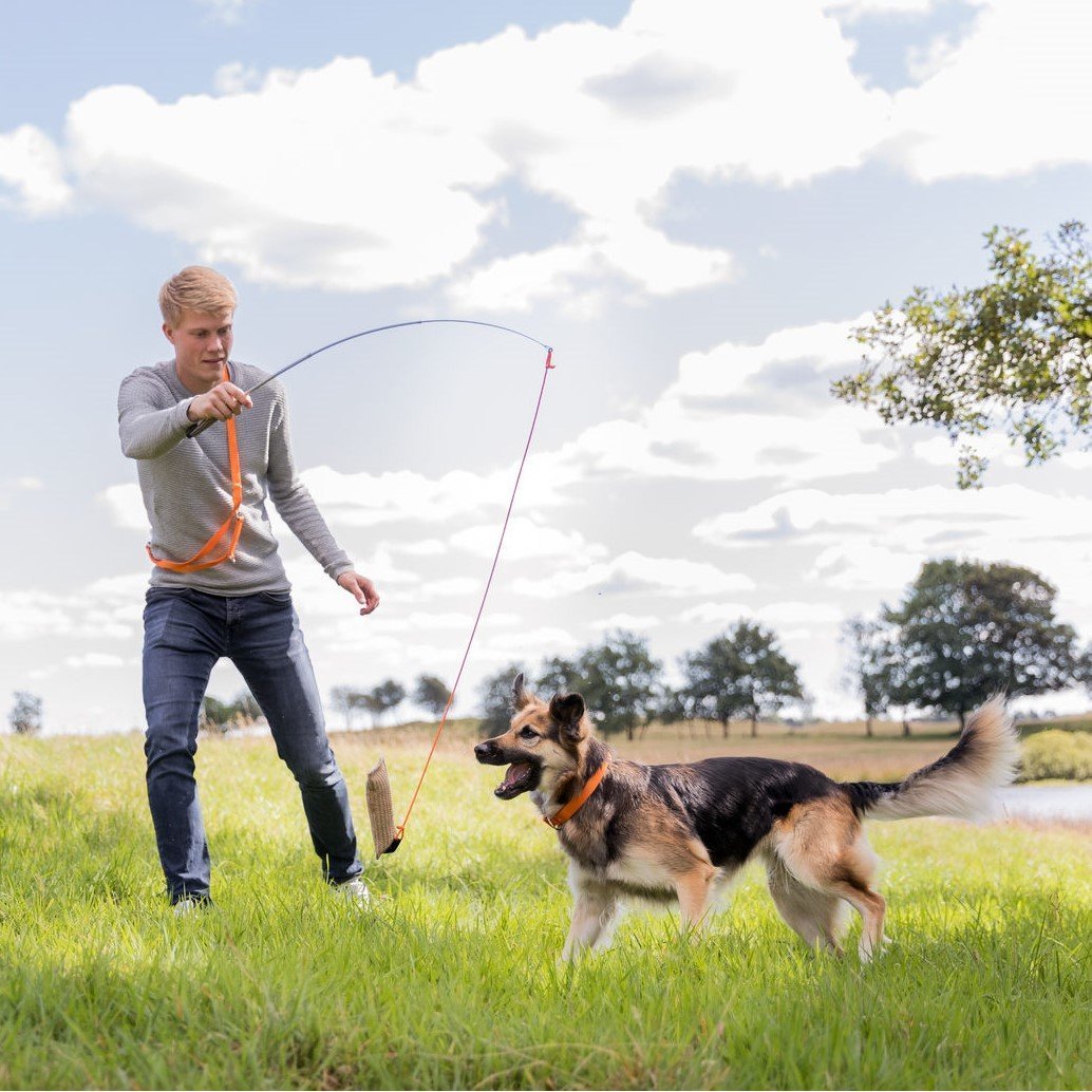 Dog Activity Reizangel für Hunde Bild 2