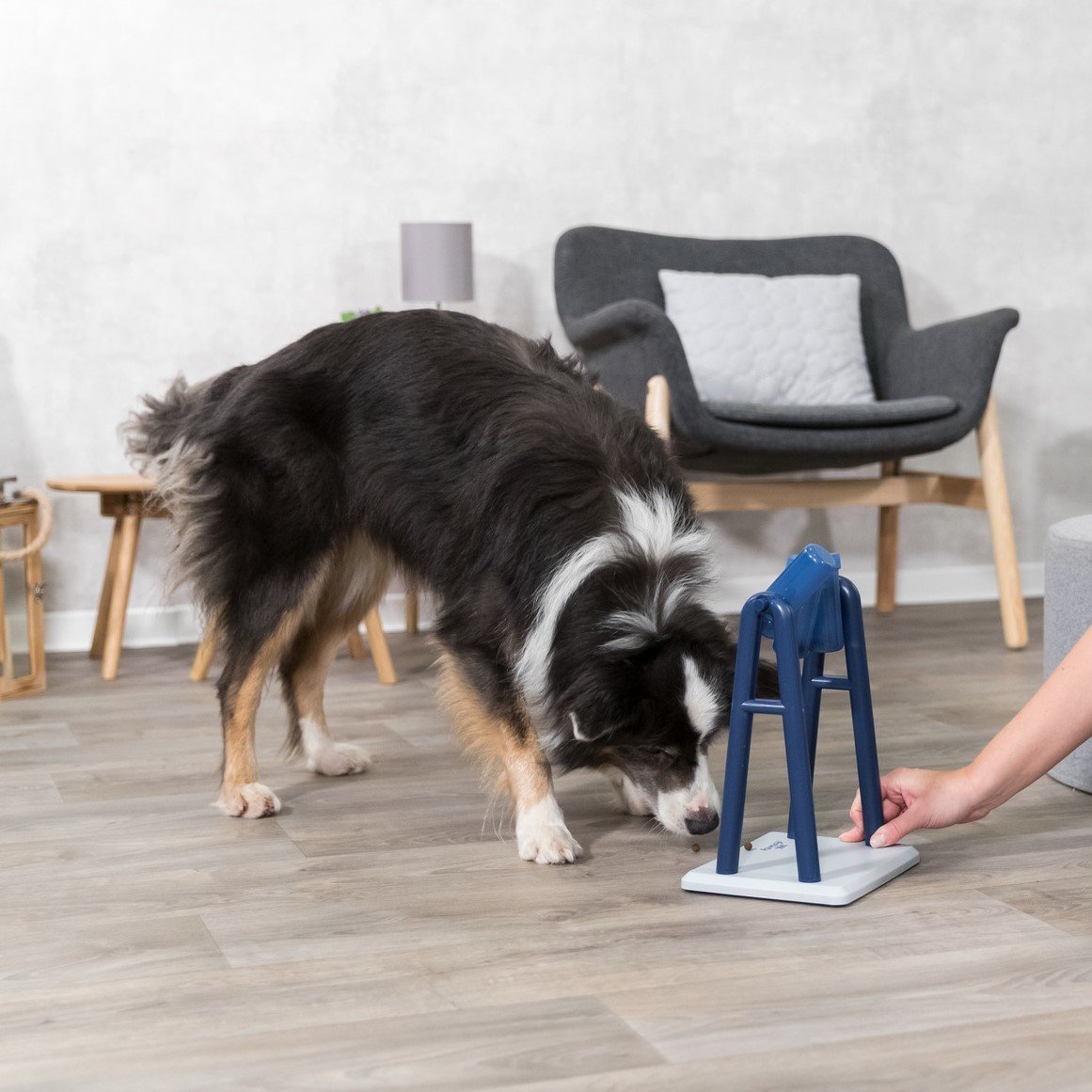 Dog Activity Strategiespiel Turn Around für Hunde Bild 2