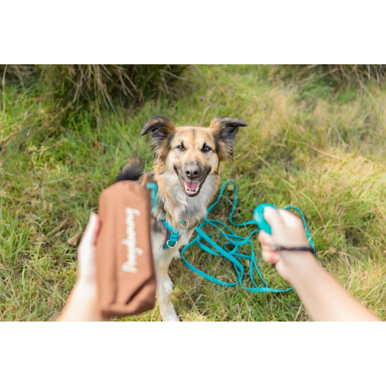 Easy Life Schleppleine mit Handschlaufe Bild 3