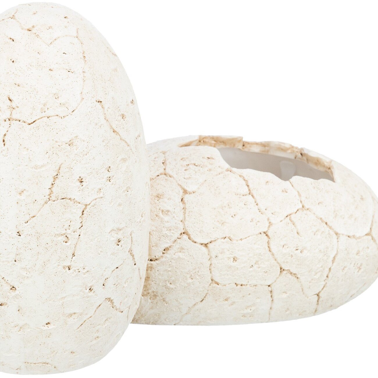 Eier Reptilienhöhle Bild 3